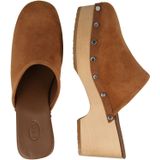 Scholl - Hailey - Klomp - Brandy