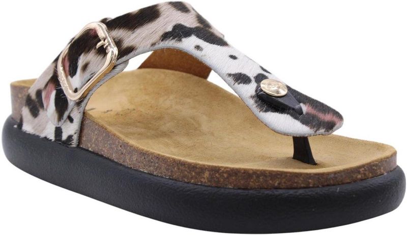 Scholl - Caudron - Veelkleurige Slipper - Dames - Comfortabele Teenslippers voor Dagelijks Gebruik