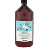 Davines - NaturalTech™ Moisturizing - Conditioner - 1 L