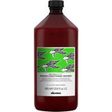 Davines Naturaltech Renewing Conditioning Treatment 1000ml