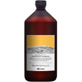 Davines - Naturaltech Nourishing - Shampoo - 1000ml