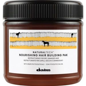 Davines NaturalTech Natural Tech Nourishing Hair Builder Masker 250ml