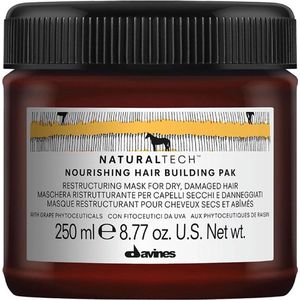 Davines NaturalTech Natural Tech Nourishing Hair Builder Masker 250ml