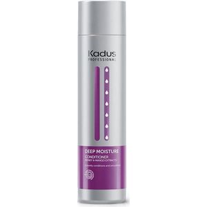 Conditioner - 250ml - Voor Normaal en Droog Haar - Hydrateert en Verzorgt