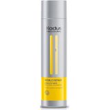 Conditioner - Herstel - Glanzend - Zijdezacht - 200 ml