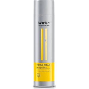 Conditioner - Herstel - Glanzend - Zijdezacht - 200 ml