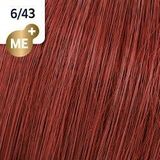 Koleston Perfect Me+ Permanent Creme Colour 6/43 Dark Blonde Red Gold
