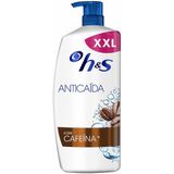 H&S Anti-haaruitval shampoo (uitval door breuk) voor mannen, tot 100% bescherming tegen roos, 1000 ml