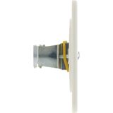 Vimar - Blindplaat - Muurplaat - Afdekplaat Vierkant - Wit - Kunststof