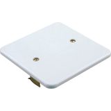 Vimar - Blindplaat - Muurplaat - Afdekplaat Vierkant - Wit - Kunststof