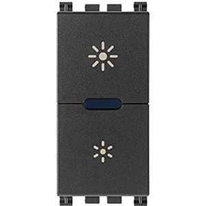 Vimar 19135.1 Arké dimmer master 230 V universele gloeilamp, CFL 1 en lampen, LED voor detectie van Buio, grijs