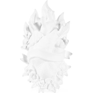 Vaas - Glas - Transparant