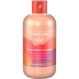 INEBRYA Color Protection Shampoo, 300 ml