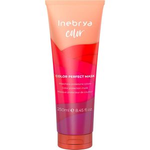 Inebrya COLOR Kleurbeschermingsmasker 250ml