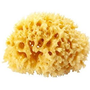 OKBABY Honeycomb spons- Natuurlijke spons uit de Middellandse Zee voor baby's badje, ultra zacht, ideaal voor de delicate huid - maat 12