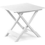 Campingtafel - Inklapbaar - Wit - Kunststof - Lichtgewicht