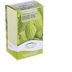 Munt Peper Blad Gesneden Doos 100g Fag