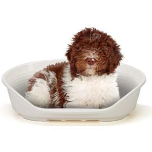 Ferplast Siesta Deluxe 2 Kunststof voor honden en katten, 8 stuks geperforeerde bodem, antislip, comfortabele hoofdsteun, 82 x 59,5 x 25 cm, roze