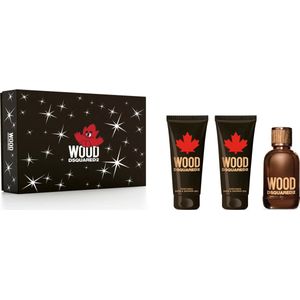 Dsquared2 Wood pour homme 100 ml geschenkset