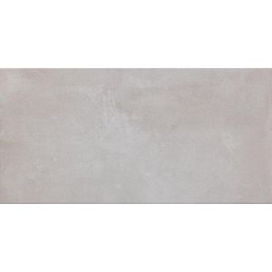 Beste Koop - Icon - Vloer- en Wandtegel - Zilver - Porcellanato - 30x60cm