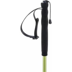 Trekking Stick Ferrino Jet 110 cm Green