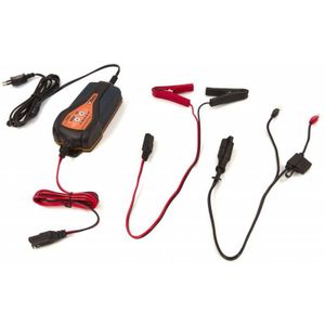 Beta - Elektronische Batterijlader - 12V - Voor Wegmotoren