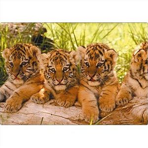 Mouse pad linea Cuccioli e WWF Fellowes cuccioli di tigre 40090