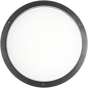 Performance in Lighting LED Opbouwarmatuur Ø402mm | 39W 4000K 2912lm 840  |  IP65 Nood