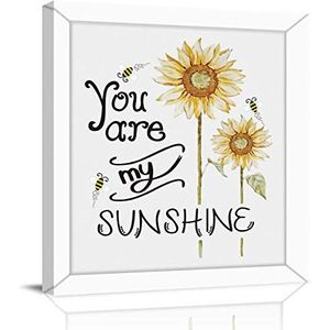 GIVI - Airstar - Getinte Folie - 425 mm Hoog - 420 mm Breed - Voor Verschillende Modellen