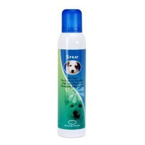 Camon Ingenya Deodorant Talk 250 ml