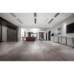 EnergieKer Vloer- en wandtegel Flatiron Silver 30x60 cm Gerectificeerd Industriële look Mat Zilver/grijs