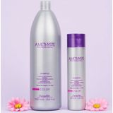 FarmaVita - Amethyste Color - Shampoo - Gekleurd Haar - 1000 ml