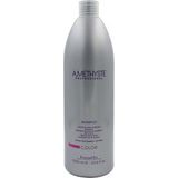 FarmaVita - Amethyste Color - Shampoo - Gekleurd Haar - 1000 ml