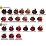 FarmaVita - Life Color Plus - Haarkleuring - 10.102 - 100 ml