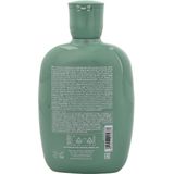 Alfaparf - Scalp Renew Energizing Low Shampoo - 250 ml - Haarverzorging
