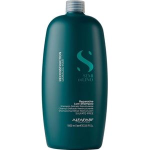 Herstellende Shampoo Alfaparf Milano Semi Di Lino 1 L