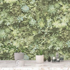 Evergreen - Behang - Vetplanten - Behang Woonkamer - Vliesbehang - Groen - 0,53x10.05m