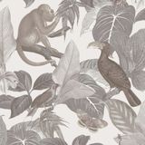 Behang met apen en tropische vogels - Behang - Wandbekleding - Wallpaper - Vliesbehang - Assorti 2022-2024 - 0,53 x 10,05 M.