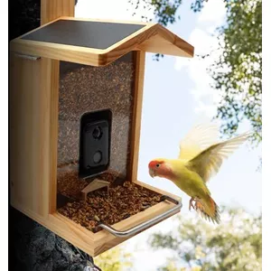 Nestkast met infrarood camera, Observatiecamera, Wild detectie camera's