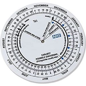 Gima 29099 zwangerschapsschijf, 10 stuks