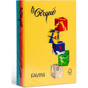 Le Cirque A4 papier 80 g/m2 500 vel in 5 felle tinten FAVINI made in Italy inkjet kopieer laserjet 100 vel per kleur