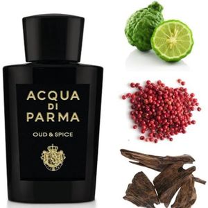 Acqua di Parma Signatures Of The Sun Oud Eau de Parfum Unisexgeur 100 ml