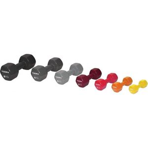 Toorx Vinyl Dumbbell - Per Stuk - 4 kg - Lichtgrijs