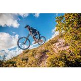 Northwave - Kingrock Plus GTX - Mountainbikeschoenen - Beige Zwart