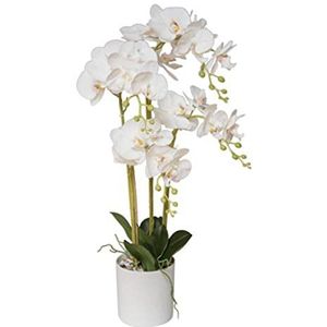 VEA SRL Plant Gr. Orchidee Real Touch 75 cm 5806