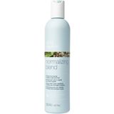 Milk Shake - Normalizing Blend - Shampoo - 300ml - Voor Normale tot Vette Hoofdhuid