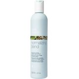 milk_shake normalizing blend shampoo 300 ml - Normale shampoo vrouwen - Voor Alle haartypes