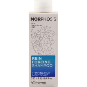Morphosis Reinforcing Shampoo