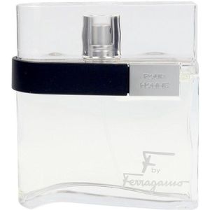 Salvatore Ferragamo F By Ferragamo Pour Homme Herenparfum 100 ml