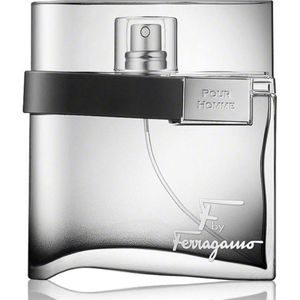 Salvatore Ferragamo F By Ferragamo Pour Homme Herenparfum 50 ml